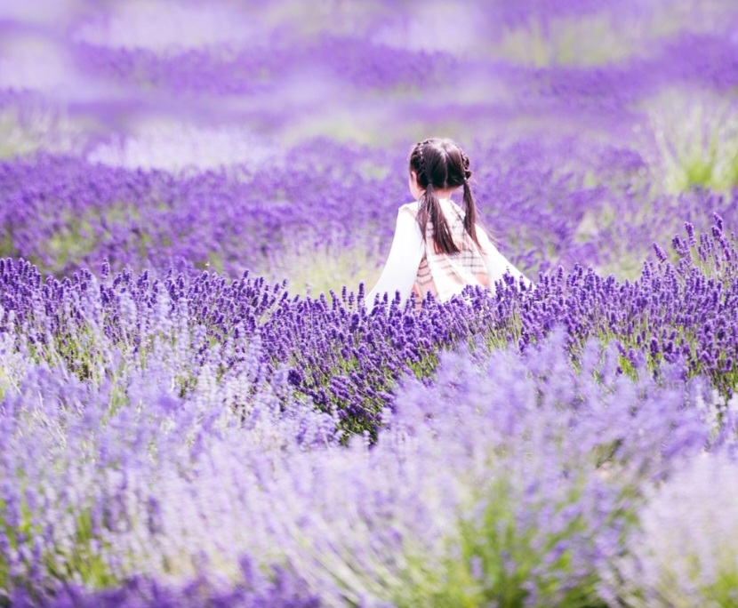 No aspecto visual, a lavanda traz leveza e sofisticação aos ambientes. Seu tom suave combina facilmente com diferentes estilos de decoração.