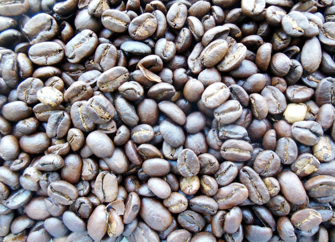 Considerado um dos cafés mais caros do mundo, o Kopi Luwak pode custar centenas de dólares por quilo, dependendo da origem e da certificação. O valor elevado se explica pela raridade, pelo processo peculiar e pela aura de exclusividade que envolve o produto. O mercado internacional explora essa imagem de luxo, transformando o café em símbolo de status e consumo sofisticado.
