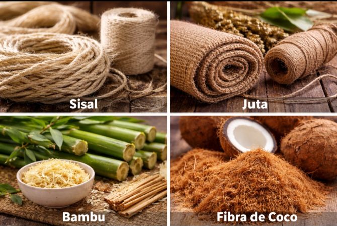 Fibras vegetais e diferenças entre elas: perspectivas para o futuro