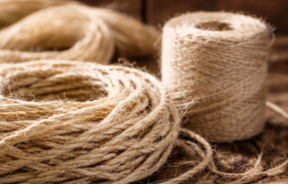 O sisal é extraído das folhas da agave e cultivado principalmente no Nordeste brasileiro. Reconhecido pela resistência, é usado em cordas, tapetes e artesanato, sustentando milhares de famílias. Sua produção fortalece economias regionais e preserva práticas agrícolas tradicionais.