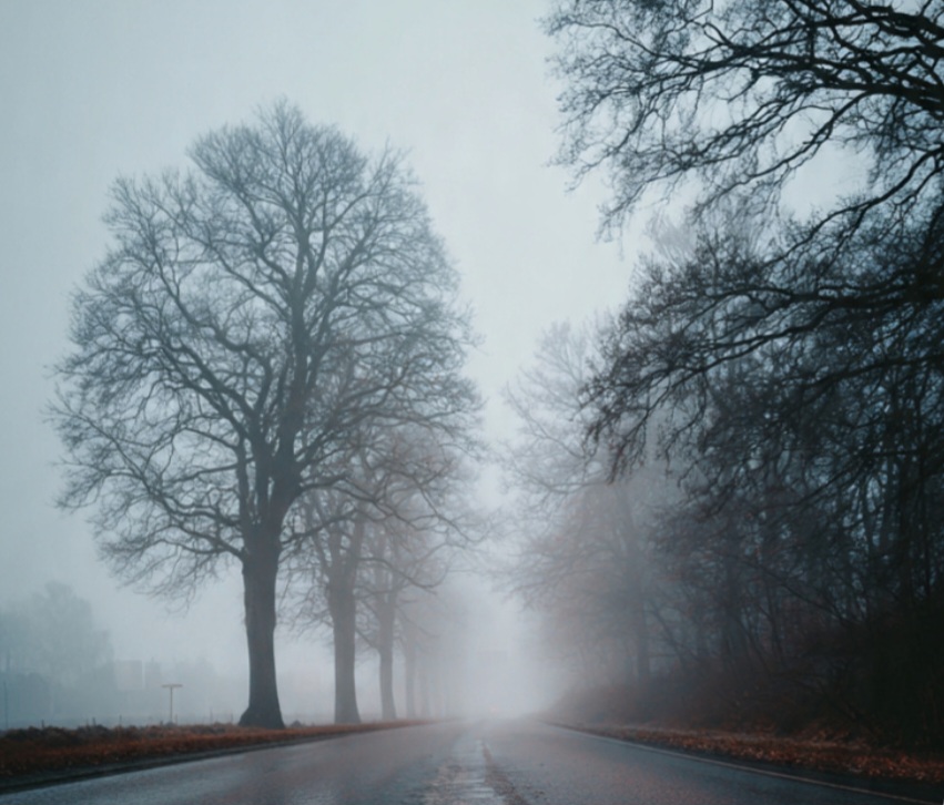 A formação desses fenômenos está ligada a fatores como temperatura, umidade e vento. Quando o ar úmido esfria, o vapor se condensa em pequenas gotículas, criando essa “nuvem” próxima ao solo.
