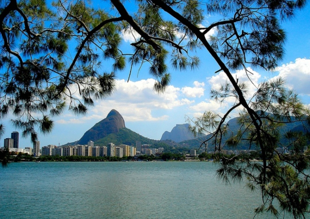 As lagoas costumam apresentar menor circulação de água, o que pode favorecer o acúmulo de sedimentos. Isso as torna ambientes mais sujeitos a mudanças rápidas, como variações de nível ou qualidade da água. Em alguns casos, podem até desaparecer com o tempo.