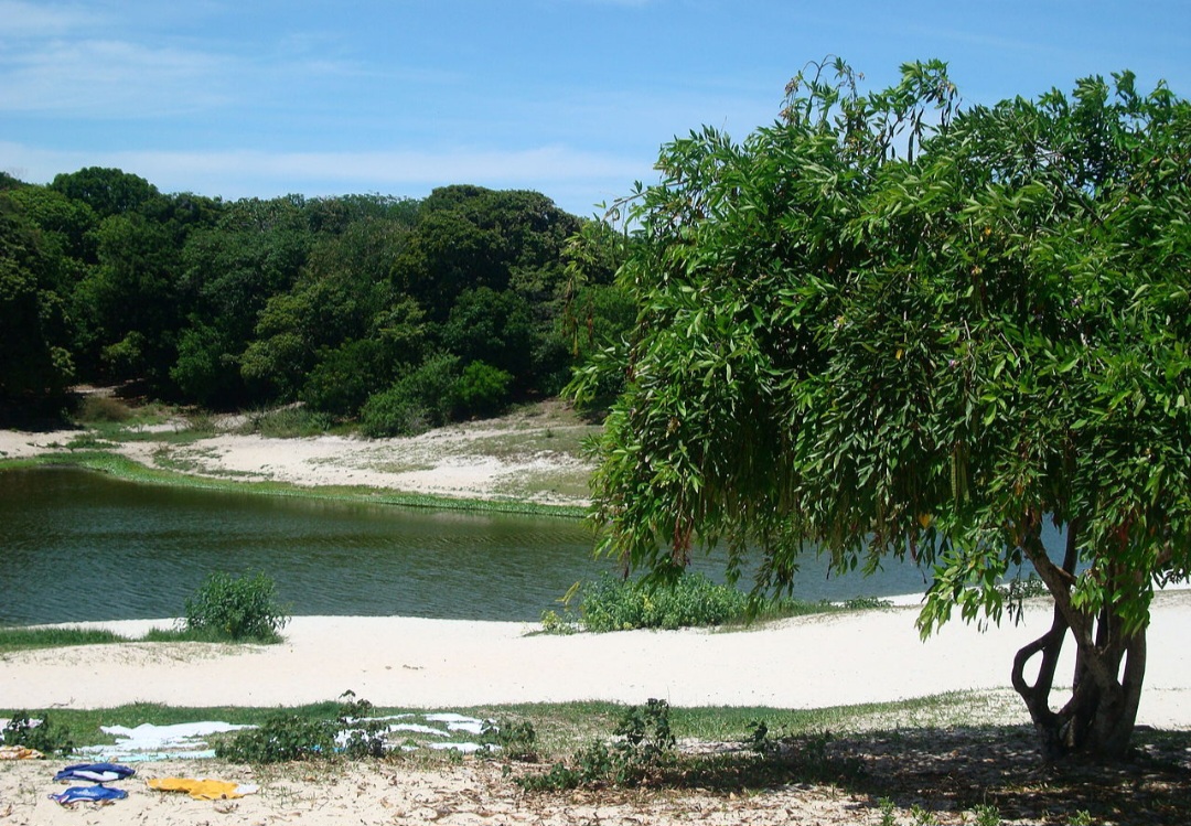 No fim, tanto lagos quanto lagoas são importantes para o meio ambiente e para as atividades humanas. Eles abastecem cidades, sustentam ecossistemas e servem ao turismo e ao lazer. Entender suas diferenças ajuda a valorizar melhor esses ambientes naturais. Na foto, Lagoa do Abaeté, em Salvador.