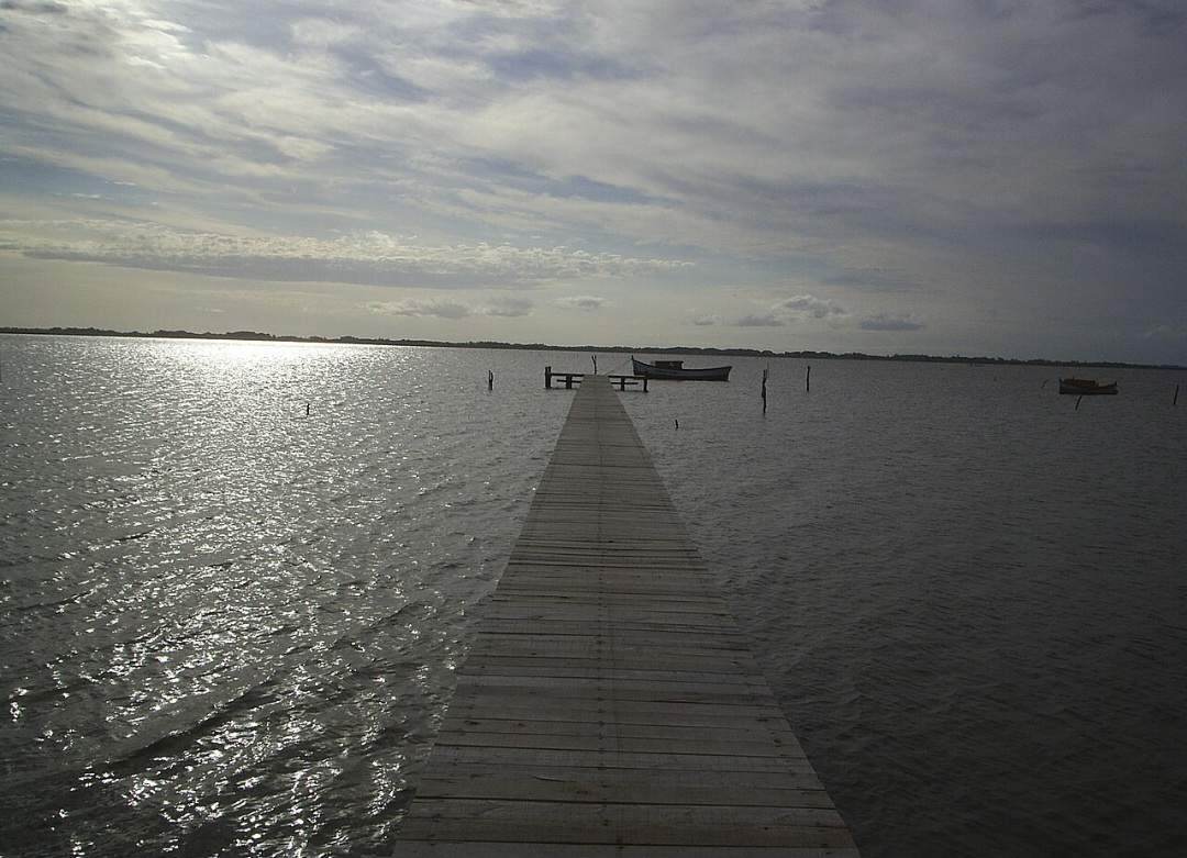 Um exemplo conhecido é a Lagoa Rodrigo de Freitas, que possui águas calmas e pouca profundidade. Outro caso é a Lagoa dos Patos (foto) uma das maiores do país, apesar do nome.