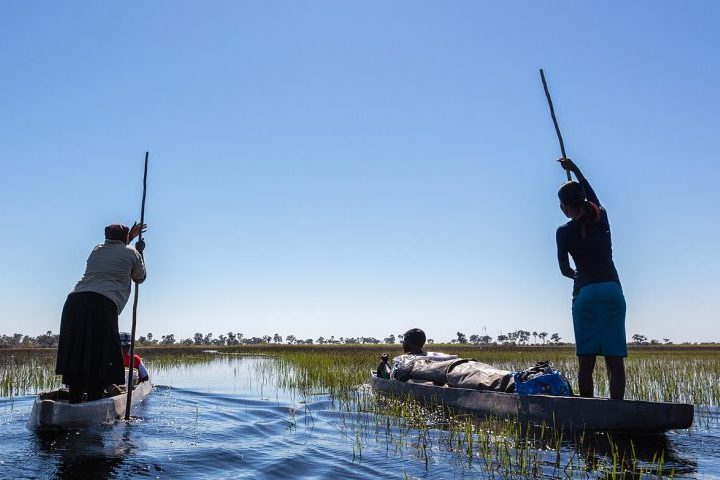 Hoje, o delta desempenha papel essencial para comunidades locais, que utilizam suas águas para pesca, transporte e agricultura tradicional. O turismo também é uma atividade importante, especialmente os safáris ecológicos realizados em veículos, barcos e canoas tradicionais chamadas mokoros.