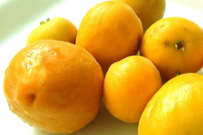 Uvaia, ubaia, uvalha, uvaieira ou uaieira (Eugenia pyriformis) fruta - Domínio Público