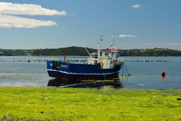 A economia local gira em torno da pesca, da aquicultura — especialmente a produção de salmão —, da agricultura familiar e, mais recentemente, do turismo. O isolamento histórico contribuiu para a preservação de modos de vida tradicionais, mas também limitou o desenvolvimento de infraestrutura e o acesso a serviços.