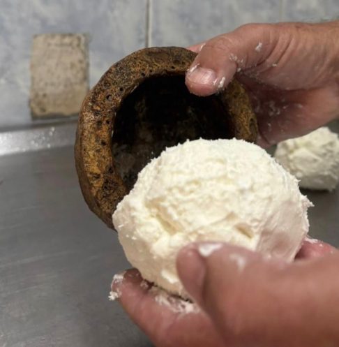 Além disso, o reconhecimento consolida a qualidade do produto artesanal elaborado com leite de cabras das raças Saanen e Murciana, cuja técnica de fabricação envolve fermentação com iogurte e um período de maturação de 21 dias. Feito dentro da cuia da Sapucaia, o queijo desenvolve um mofo semelhante ao do brie graças à ação de fungos presentes na Mata Atlântica, o que resulta em textura aveludada e sabor com notas de castanha, madeira e leve picância.