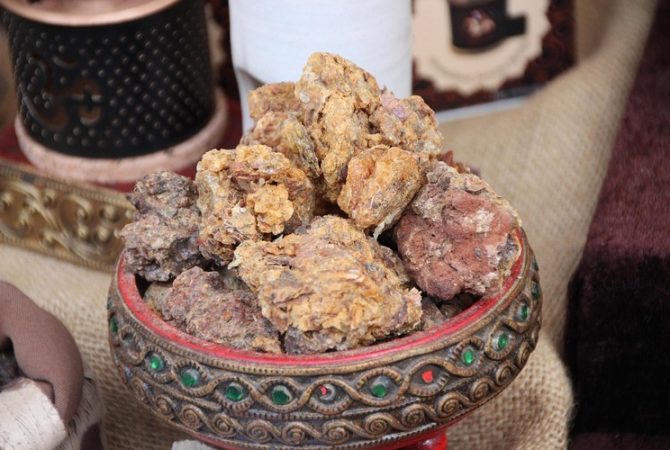 Mirra: a resina milenar que atravessa história, medicina e rituais sagrados