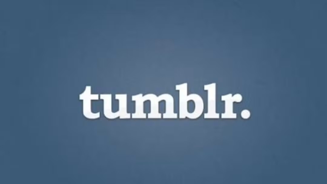 Os usuários podiam publicar textos, fotos, vídeos, áudios, imagens e GIFs. Além disso, era possível seguir outros perfis e repostar conteúdos, algo parecido com o que acontece em redes como Twitter e Facebook. Muitas expressões passaram a ser populares, como “Nossa, essa foto está muito Tumblr” ou “Que casal Tumblr”, para se referir a um determinado tipo de foto com uma estética específica.
