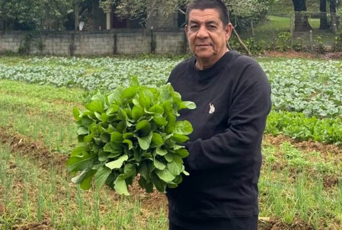 Terreno de Zeca Pagodinho vira horta comunitária e beneficia moradores de Duque de Caxias