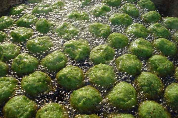 Faláfel, salgado da culinária árabe