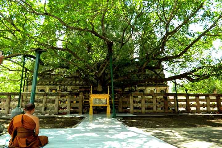Situado em Bodh Gaya, no estado de Bihar, o templo integra a paisagem espiritual da Índia e reforça sua identidade como berço do budismo. O acesso é feito por estradas que conectam a cidade a centros urbanos maiores, facilitando a chegada de visitantes. A proximidade com a árvore Bodhi simboliza renovação e ligação direta com a iluminação de Buda.