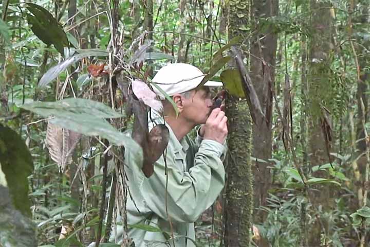 Projetos na Amazônia também marcaram sua trajetória, com pesquisas voltadas para extratos naturais contra tumores e bactérias resistentes. A iniciativa revela sua curiosidade científica e compromisso com inovação, conectando biodiversidade brasileira com avanços médicos globais. O trabalho reforça a importância da preservação ambiental como fonte de conhecimento e soluções terapêuticas.
