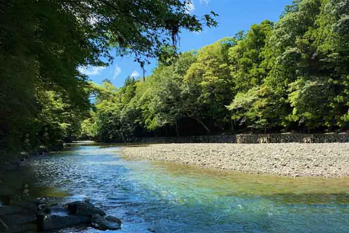 O Santuário de Ise está cercado por uma floresta densa e intocada, considerada morada dos deuses e guardiã do equilíbrio espiritual. O som dos rios e o perfume das árvores criam uma atmosfera de contemplação e paz envolventes. A natureza é vista como extensão do divino, reforçando o princípio xintoísta de harmonia universal e respeito pela vida, e lembrando que o sagrado pulsa em cada elemento natural.