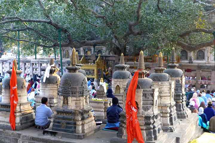 Diariamente, monges e fiéis realizam cerimônias de meditação, cânticos e oferendas diante da árvore Bodhi e dentro do templo. O som dos mantras ecoa pelo espaço, criando atmosfera de profunda espiritualidade e conexão com os ensinamentos de Buda. A rotina ritualística mantém viva a tradição e inspira práticas de compaixão e sabedoria.