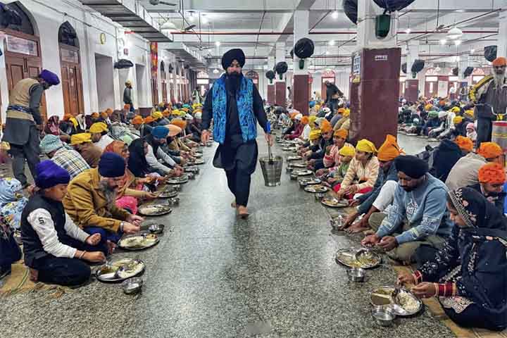 O langar do Templo Dourado serve cerca de 100 mil refeições gratuitas por dia, com capacidade para atender até 50 mil pessoas simultaneamente. O cardápio inclui pratos simples como chapati, lentilhas e arroz, preparados em panelas industriais que chegam a pesar toneladas. O funcionamento depende de doações da comunidade sikh global, que financia alimentos e equipamentos.