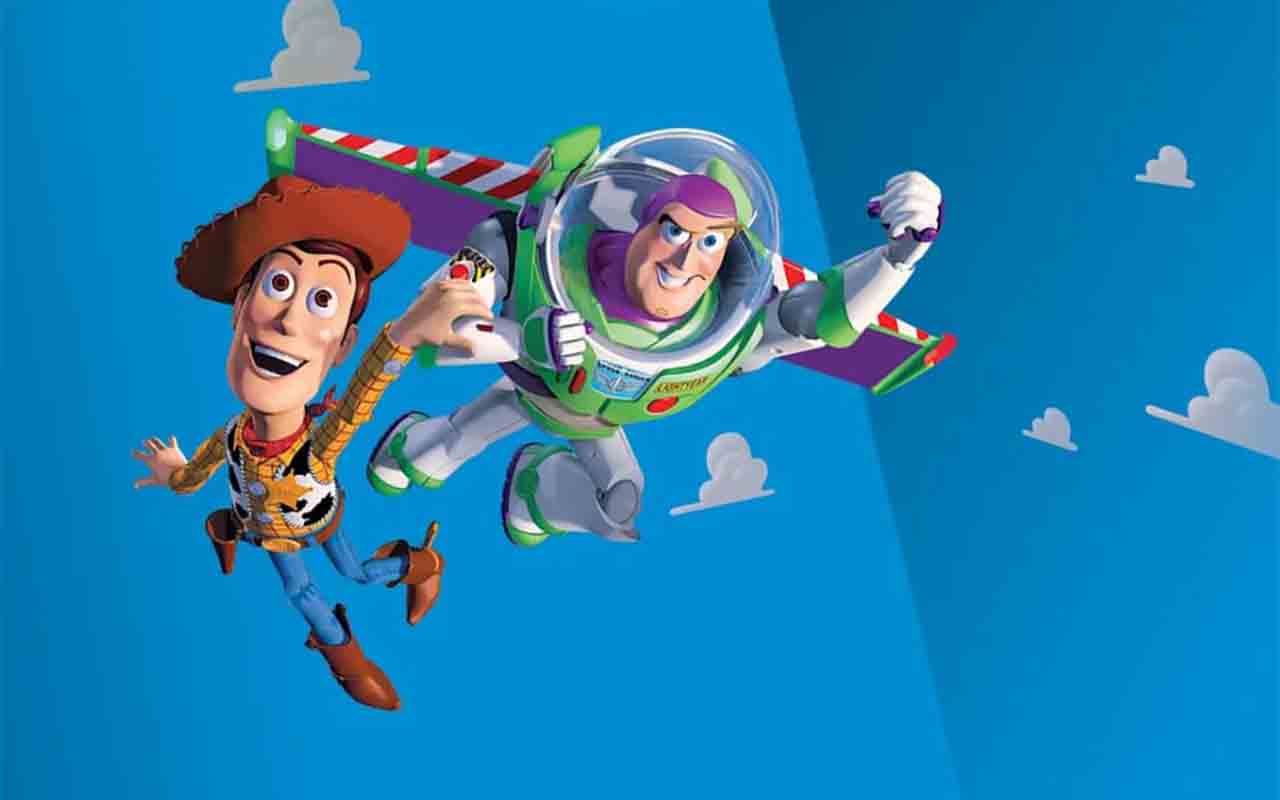 Criada pela Pixar Animation Studios e distribuída pela Disney, a franquia acompanha a vida secreta dos brinquedos de Andy e, posteriormente, de Bonnie, mostrando o que acontece quando os humanos deixam o quarto. Liderados pelo caubói Woody e pelo patrulheiro espacial Buzz Lightyear, os brinquedos vivem aventuras que misturam humor, emoção, amizade e reflexões sobre crescimento, abandono e passagem do tempo.
