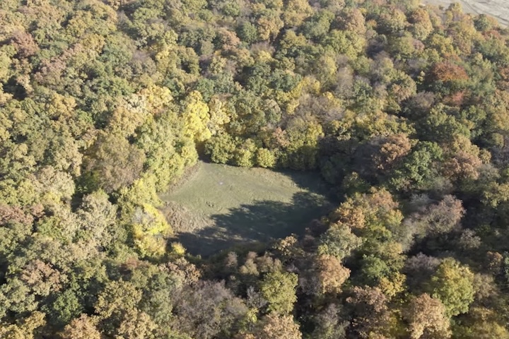 Em 1968, a floresta ganhou as manchetes mundiais após o técnico de engenharia militar Emil Barnea registrar uma imagem nítida de um suposto disco voador pairando sobre as copas das árvores na Clareira Redonda, uma zona central perfeitamente circular onde nenhuma vegetação consegue crescer.