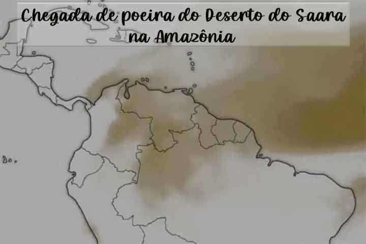 Curiosamente, tempestades de areia têm efeitos positivos em alguns ecossistemas. O transporte de minerais do Saara até a Amazônia, por exemplo, ajuda a fertilizar o solo da floresta. Esse processo mostra como fenômenos locais podem ter impacto global na manutenção da biodiversidade e na regeneração de ambientes tropicais, sustentando ciclos de nutrientes vitais.