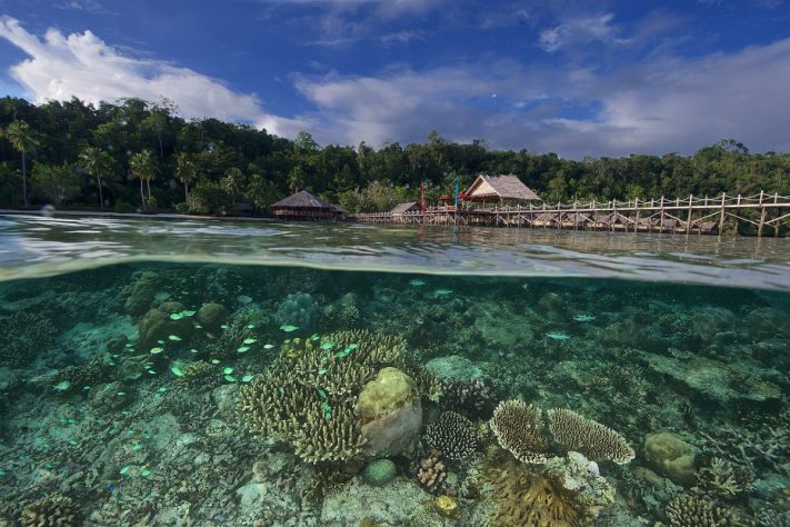 Raja Ampat, Indonésia | Panoramio - Buena Ventura