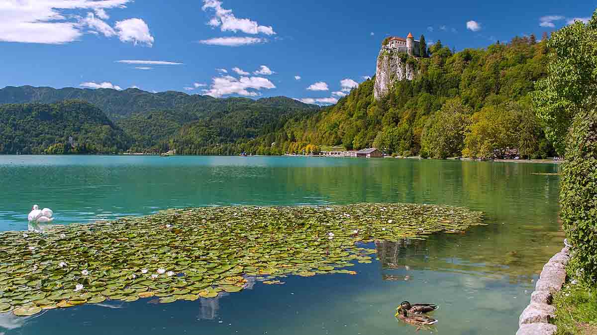 Bled é exemplo de turismo sustentável, com projetos que preservam o lago e a biodiversidade local. A consciência ecológica integra a identidade da cidade e fortalece sua vocação turística. Programas de educação ambiental envolvem moradores e visitantes na preservação. Iniciativas de mobilidade verde reforçam o compromisso com o futuro.