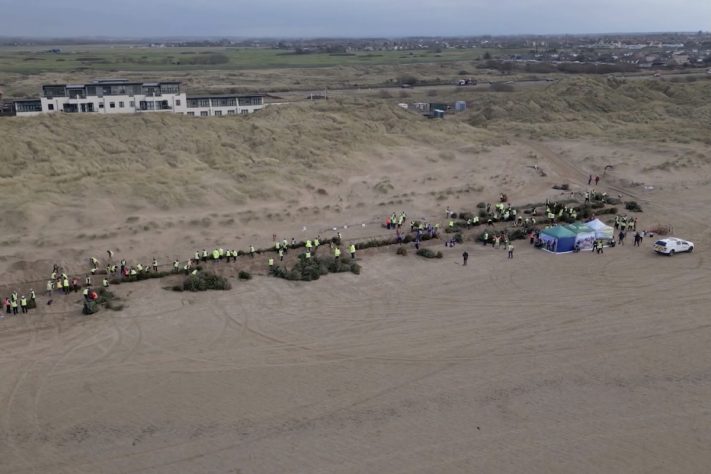 Projeto no Reino Unido usa pinheiros de Natal descartados para criar barreiras naturais contra erosão – Divulgação/Lancashire Wildlife Trust