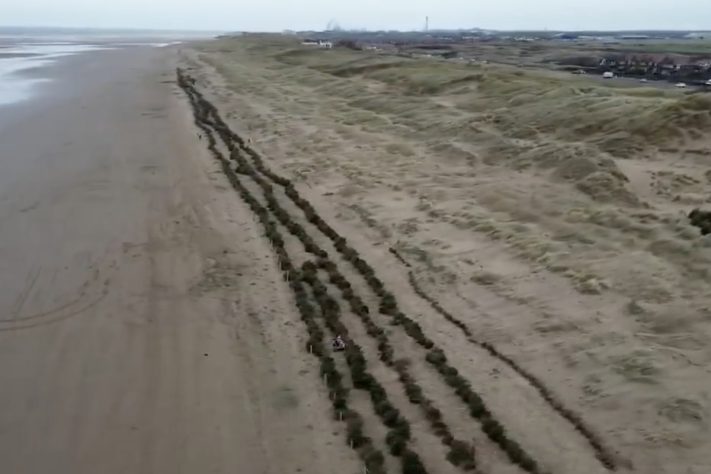Projeto no Reino Unido usa pinheiros de Natal descartados para criar barreiras naturais contra erosão – Reprodução/Sky News
