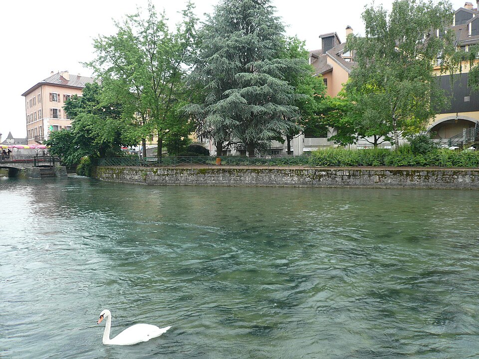 A fauna e a flora do Lago de Annecy são ricas e variadas, com espécies aquáticas que encontram ali um habitat protegido. As margens abrigam aves migratórias e vegetação típica dos Alpes, reforçando o valor ecológico da região. Programas de conservação buscam proteger espécies ameaçadas, garantindo que o ecossistema se mantenha saudável para futuras gerações.