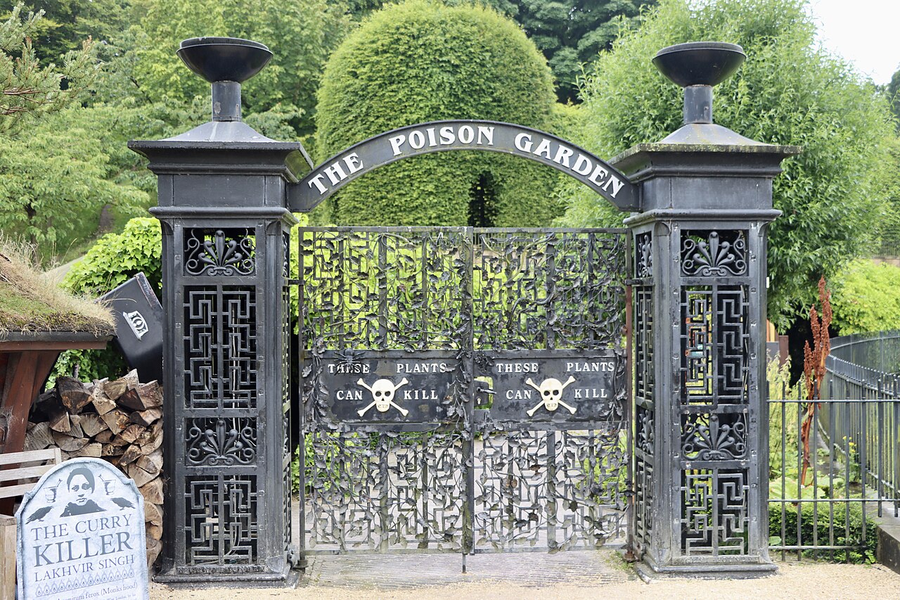 Atrás de um portão de ferro decorado com caveiras e a frase “estas plantas podem matar” existe um dos lugares mais curiosos e perigosos do planeta: o 'Jardim dos Venenos', localizado nos terrenos do Castelo de Alnwick, no nordeste da Inglaterra. Aberto ao público desde 2005, o espaço reúne mais de 100 espécies de plantas tóxicas, narcóticas e alucinógenas capazes de provocar desde irritações leves até mortes rápidas. O castelo, conhecido mundialmente por servir de cenário para Hogwarts nos prime -  (crédito: Flickr - Neil Turner)