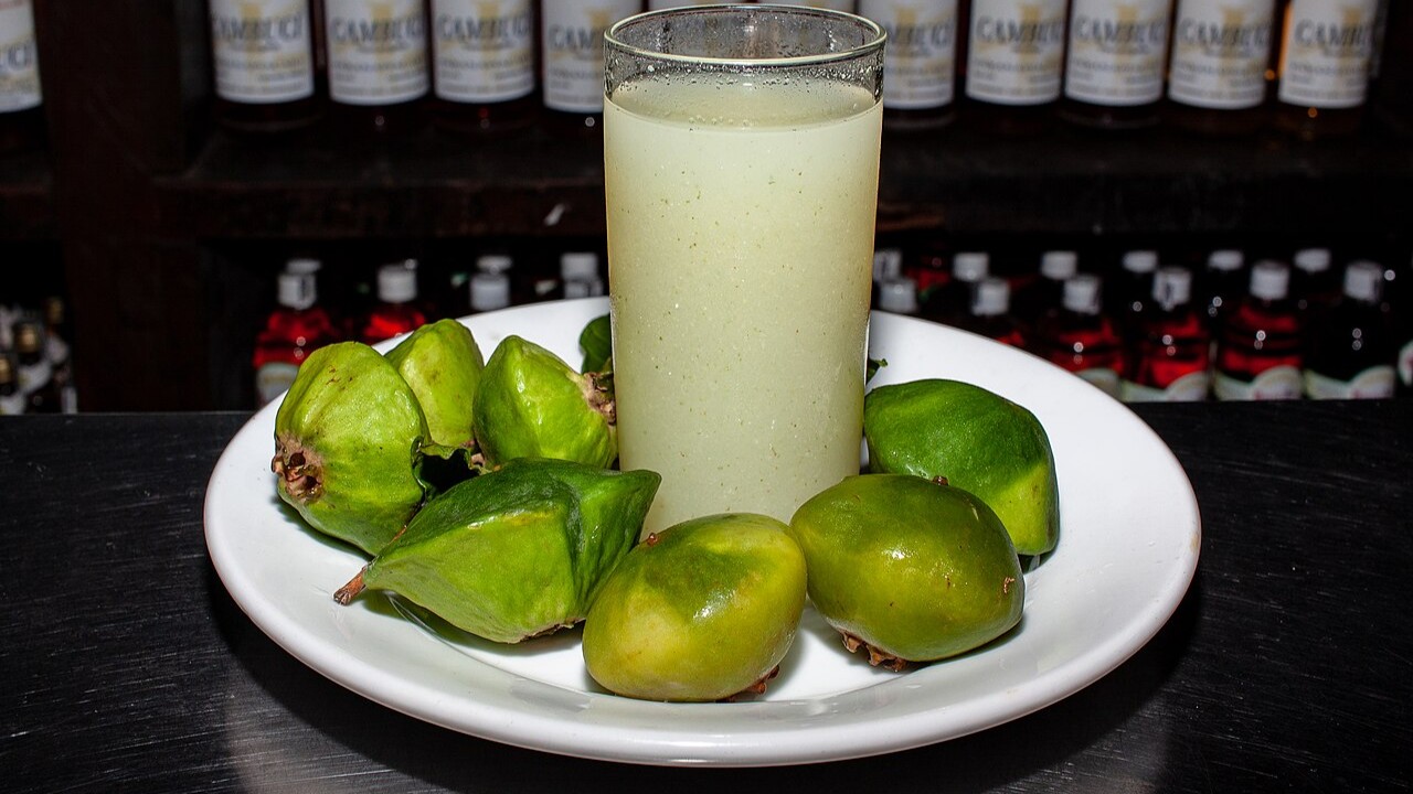 O cambuci também oferece diversos benefícios nutricionais. A fruta é rica em vitamina C, antioxidantes, ferro e vitaminas do complexo B, nutrientes importantes para o fortalecimento do sistema imunológico. Alguns estudos apontam que o consumo pode ajudar no controle do colesterol e na proteção das células contra os radicais livres. Por esse motivo, chefs de cozinha, produtores artesanais e especialistas em alimentação saudável passaram a utilizar o cambuci em diferentes preparos. Desse modo, a f