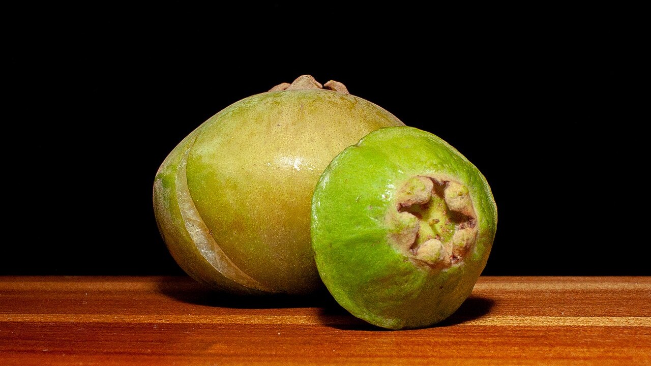 O cambuci, cujo nome científico é Campomanesia phaea, cresce principalmente em regiões do estado de São Paulo e em áreas da Serra do Mar. Inclusive, o bairro paulistano Cambuci recebeu esse nome devido à grande quantidade de frutas existente na região antigamente. Visualmente, o cambuci chama atenção pelo formato achatado, semelhante a um disco com abas laterais. Sua casca permanece verde mesmo quando amadurece, enquanto a polpa apresenta bastante suculência e um sabor ácido intenso. Por causa d