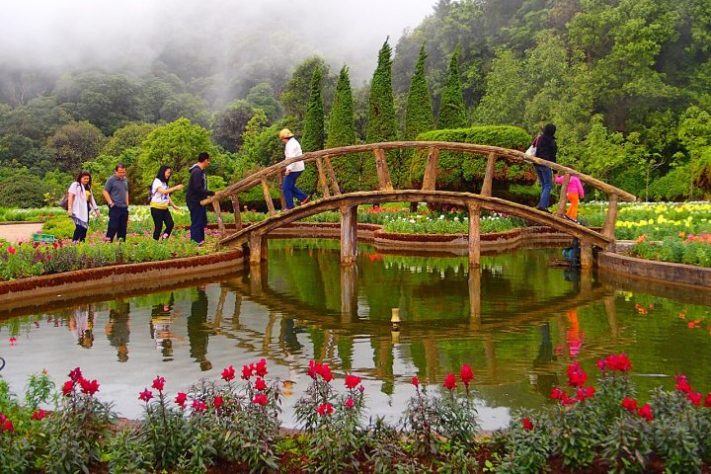 Parque Nacional Doi Inthanon, situado na província de Chiang Mai, é considerado uma das reservas naturais mais populares e importantes da Tailândia - Wikimedia Commons/Morgan Miller