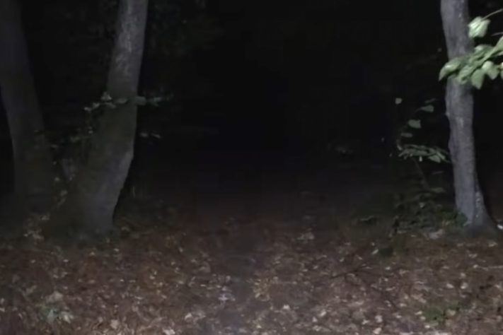 Floresta Hoia Baciu, Romênia - Reprodução/Chris Halton - Haunted Earth tv