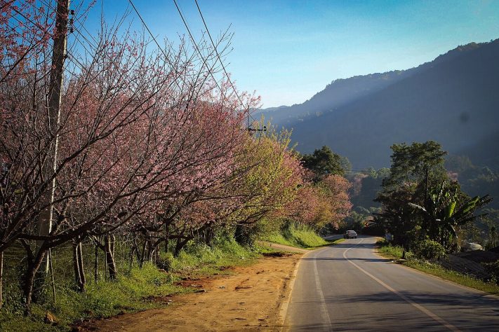 Parque Nacional Doi Inthanon, situado na província de Chiang Mai, é considerado uma das reservas naturais mais populares e importantes da Tailândia - Wikimedia Commons/Peerawat.b