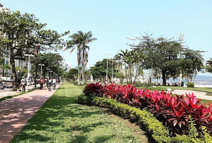 A largura do Jardim da Orla de Santos varia entre 45 e 50 metros, somando uma área total de 218.800 metros quadrados de verde. A origem do projeto remonta ao início do século 20, quando o engenheiro sanitarista Saturnino de Brito idealizou a transformação da orla em um espaço ajardinado.