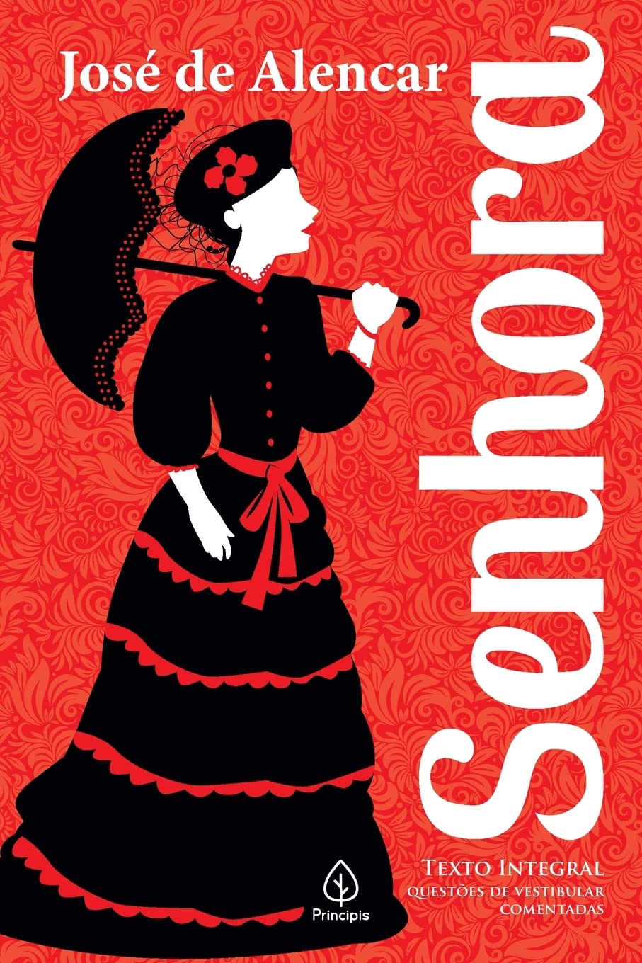 As obras de José de Alencar foram marcadas pela valorização da cultura brasileira. Seus romances retratavam paisagens, tradições, personagens e costumes do país em uma época em que a literatura ainda sofria grande influência europeia. Outra característica importante de sua escrita foi o uso de uma linguagem mais próxima do português falado no Brasil.
