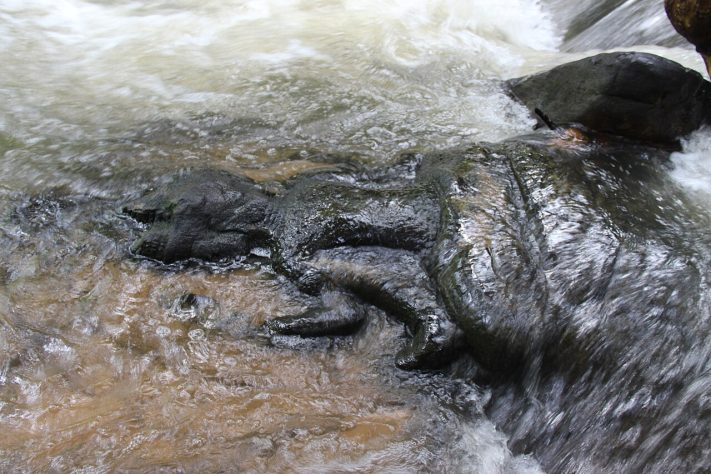 Parque Nacional de Phnom Kulen, Camboja - Flickr - Gary Todd