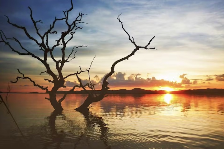 O lago foi formado no curso do Rio Maranhão, afluente do Rio Tocantins, e possui diversos outros afluentes, entre os quais se destacam os rios das Almas, Tocantinzinho, Bagagem, Traíras, do Peixe, da Mula, Vai-Vem, Palmeira, Prata Grande e Passa-3. 