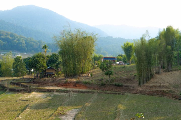 O parque também tem forte importância cultural, com diversas comunidades da etnia Karen vivendo em vilarejos espalhados pelas montanhas. Muitos habitantes locais cultivam café, arroz, flores e hortaliças em áreas agrícolas adaptadas ao relevo montanhoso.