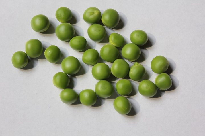 Por isso, manter ervilhas em casa pode ser uma maneira simples de aumentar a ingestão de fibras, proteínas e micronutrientes sem elevar muito os gastos ou a complexidade das refeições. As ervilhas acompanham a alimentação humana há milhares de anos e estão entre os vegetais cultivados mais antigos do planeta. Registros arqueológicos apontam que elas já eram consumidas na região do Mediterrâneo há mais de 7 mil anos.
