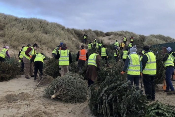 Projeto no Reino Unido usa pinheiros de Natal descartados para criar barreiras naturais contra erosão – Divulgação/Lancashire Wildlife Trust