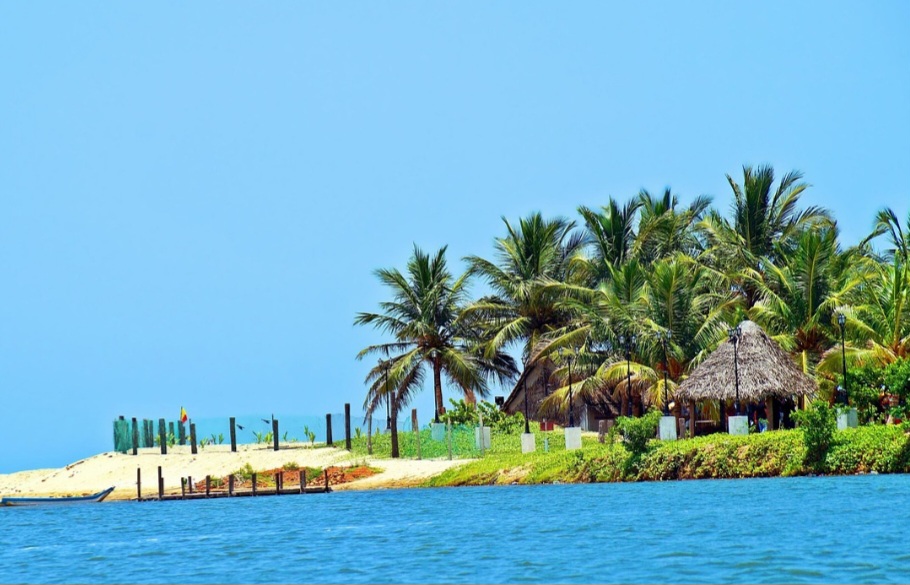 Ao longo do tempo, o coqueiro se transformou em um dos principais símbolos visuais das regiões tropicais. Sua silhueta elegante, com tronco inclinado e folhas abertas, passou a representar descanso, calor e proximidade com o mar. Por isso, aparece com frequência em cartões-postais, campanhas de turismo e imagens que evocam férias e paisagens paradisíacas. Mais do que uma planta, tornou-se um ícone cultural associado à ideia de tranquilidade e beleza natural.
