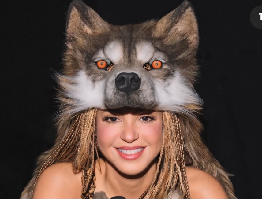 Assim como na metáfora popularizada por Shakira, as lobas reais simbolizam resistência, união e inteligência. Na natureza, essas qualidades são fundamentais para manter o equilíbrio da alcateia e garantir a continuidade da espécie.