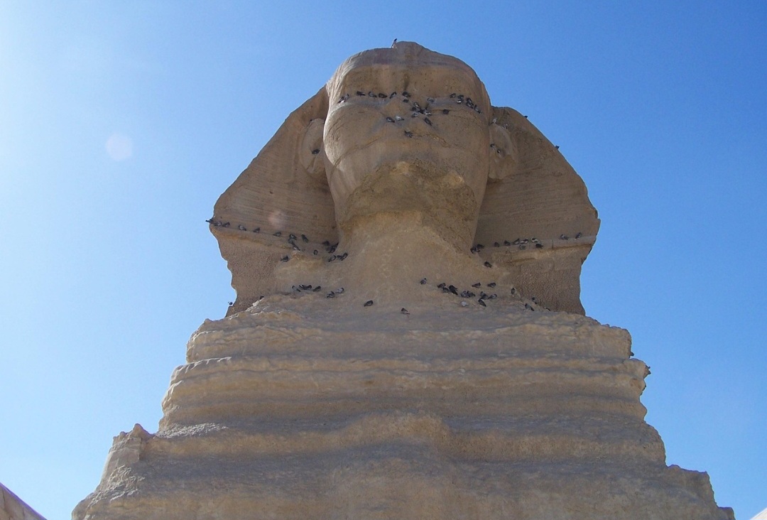 Ao longo da história, a Esfinge foi alvo de interpretações diversas por diferentes culturas, sendo que para os gregos, ela evocava enigmas e desafios, enquanto para os árabes era vista como um guardião misterioso. No período moderno, exploradores europeus a descreveram como símbolo de uma civilização perdida. Essas leituras variadas mostram como o monumento transcende fronteiras culturais.