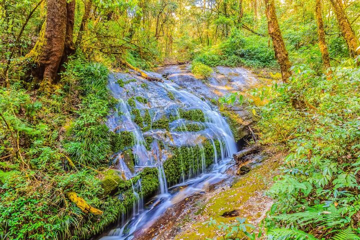Além da natureza exuberante, o local oferece contato com mercados rurais, cafés artesanais e tradições culturais mantidas por comunidades montanhesas há várias gerações. A combinação entre clima ameno, paisagens montanhosas, templos, cachoeiras e biodiversidade transformou o Parque Nacional Doi Inthanon em um dos destinos naturais mais emblemáticos da Tailândia e em símbolo da riqueza ambiental do país.