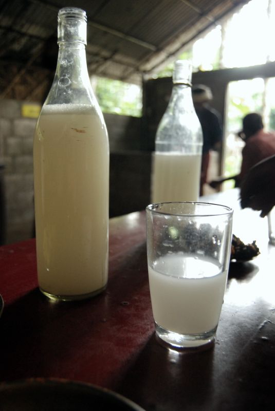 Além da importância cultural, dizem também que o vinho de palma traz alguns benefícios para a saúde. Ele contém vitaminas do complexo B, minerais e aminoácidos, e muitas comunidades acreditam que ajuda na digestão e fortalece o organismo. Mesmo assim, médicos lembram que ele continua sendo uma bebida alcoólica e que o consumo excessivo pode causar problemas de saúde.
