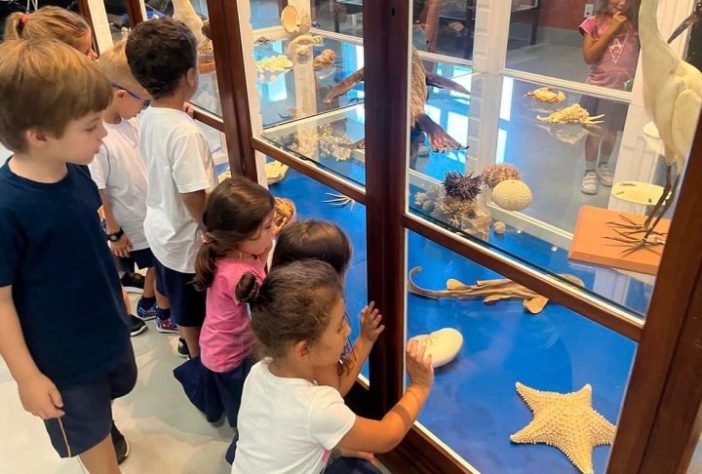 Museu Anchieta de Ciências Naturais - Reprodução @museuanchietadeciencias