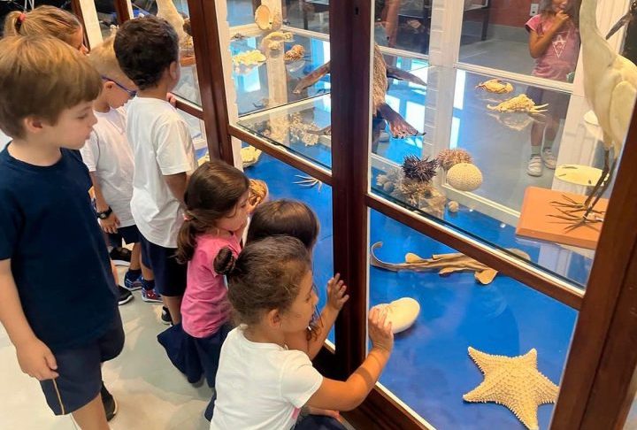 Para os responsáveis pelo museu, a preservação desse patrimônio tem uma importante função pedagógica e ambiental. A proposta do espaço busca aproximar crianças e jovens da biodiversidade e da ciência por meio da observação direta dos exemplares expostos.