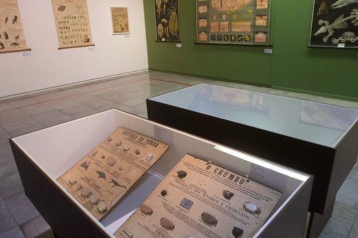 Museu Anchieta de Ciências Naturais - Reprodução @museuanchietadeciencias
